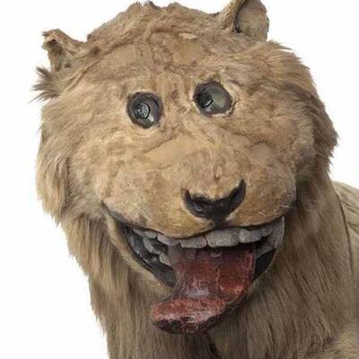 即食歷史》北歐雄獅（誤）：格利普霍姆堡之獅