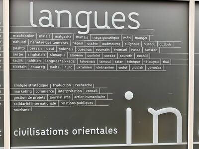自由開講》在法國「臺語」一詞現狀