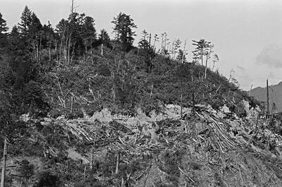 檔案瑰寶》臺灣林業開發與轉變