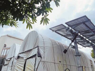 工業技術與資訊》從一朵菇開始的農電共生之路