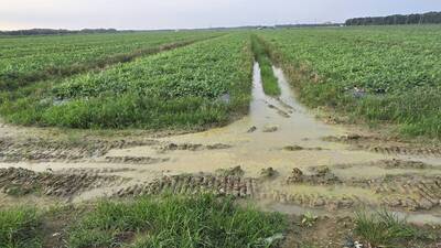 林健正專區》南科四期與國家生態植物園區