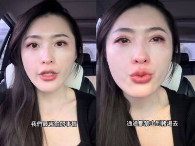 李忠憲的思考》從豬瘟到情緒瘟疫：當責任錯置成為全民信仰