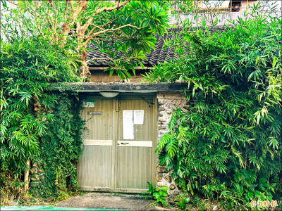 自由開講》試問北市文化局：陳奇祿故居倖存老樹保不保？