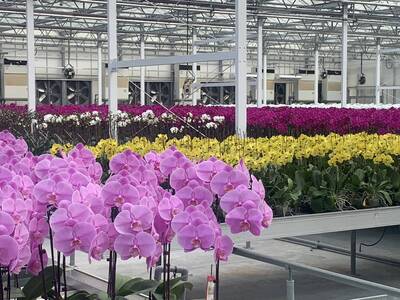 自由開講》台美對等貿易協定 開啟台美經貿與主權的雙重躍升