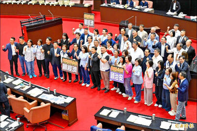 民主之盾》兩個觸身球和故意保送：論立法院通過的三大公投案