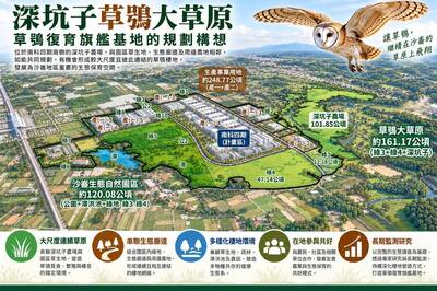 林健正專區》深坑子草鴞大草原：草鴞復育旗艦基地的規劃芻議