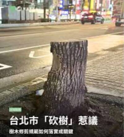 矢板明夫觀點》中國「砍樹書記」被調查 仕途急下