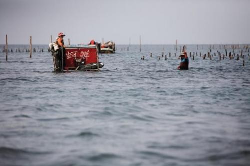 「海邊老人家常講，台灣海峽是一塊『大窟田』，欠吃、缺錢的，去海裡挖一點就有了。」（圖片來源 http://pnn.pts.org.tw/main/wp-content/uploads/2012/01/20110413_7838.jpg）