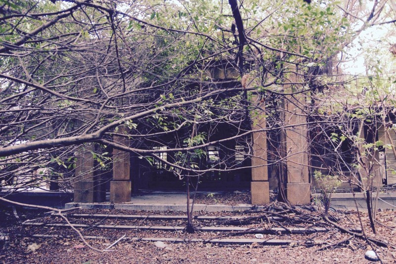 列為暫定古蹟後的金銀廳，高聳的圍牆內荒煙蔓草，仍是與在地居民生活有相當隔閡的昔日宅第。（彰化縣保鹿運動協會）