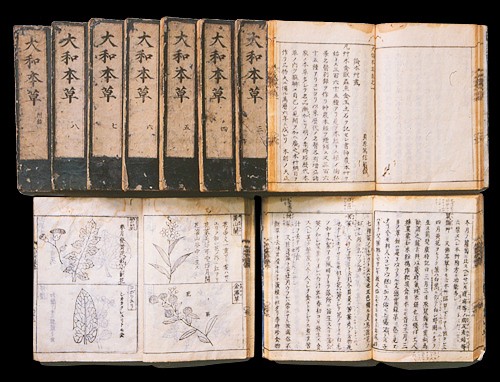 貝原 益軒 養生 訓