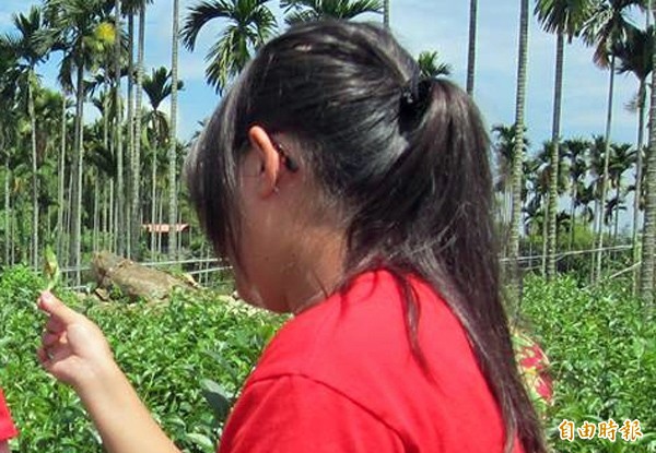 圖為採茶體驗農事。（資料照，記者劉濱銓攝）