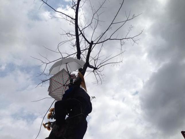 2014年4月的護樹行動（圖片來源：PEOPO公民新聞）