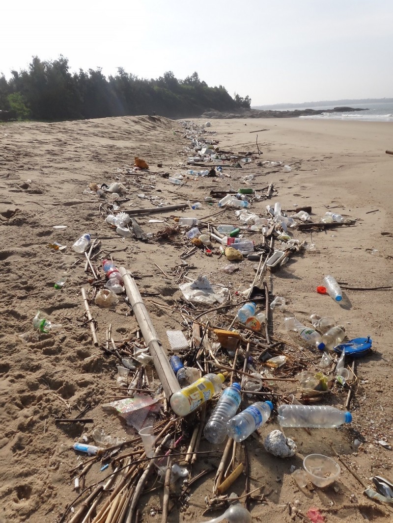 金門沙灘上的垃圾線。（圖：作者提供）