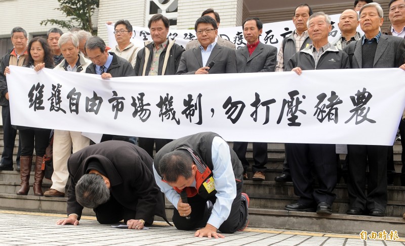 為了抗議農委會打壓豬價，中豬協共十多人到立法院陳情，然後在立院下跪。（記者朱沛雄攝）