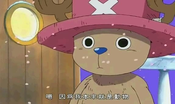 為什麼換了位子就換腦袋？大哉問，也許喬巴可以回答。（圖：網路）