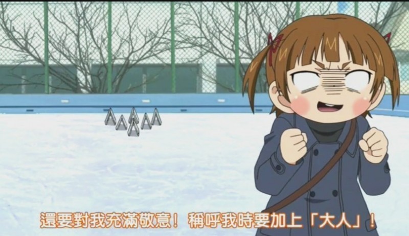 就當一個「中國」法務部長而言，羅部長其實相當是勇於任事的。（圖：網路）