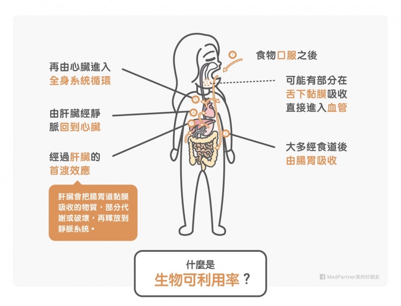 MedPartner》薑黃及薑黃粉 17 種可能功效及副作用全攻略！9 種體質禁忌請注意！