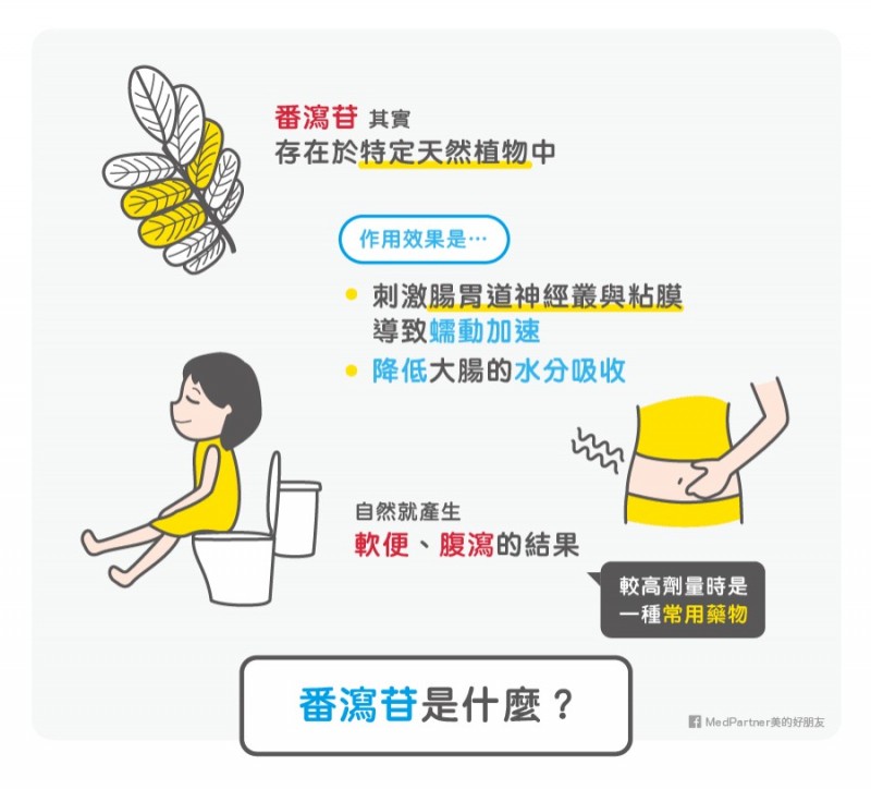 Medpartner》減肥梅、瘦身梅改善便秘減重效果好?是番瀉苷的作用嗎!