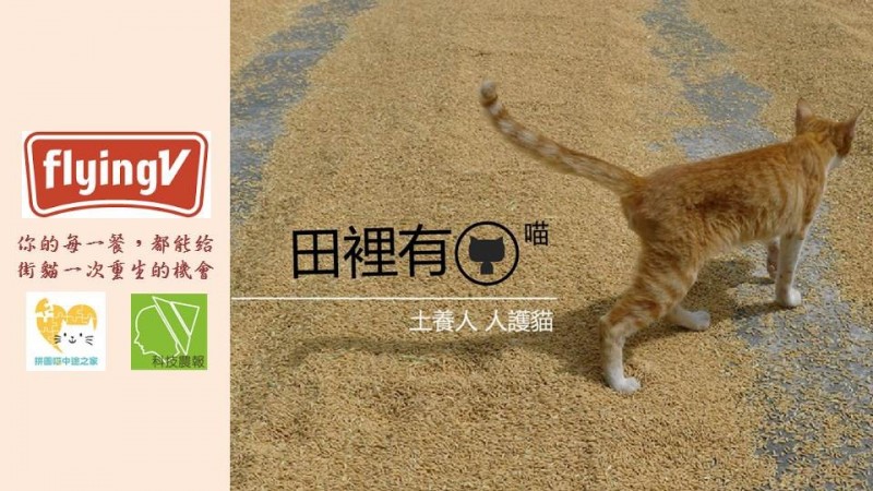 科技農報》田園城市也有循環農業:田裡有喵,貓糞堆肥的創新友善農法