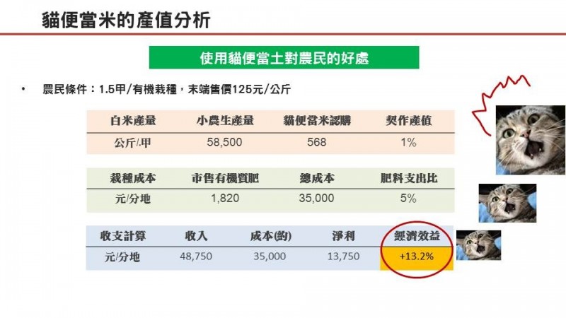 科技農報》田園城市也有循環農業:田裡有喵,貓糞堆肥的創新友善農法