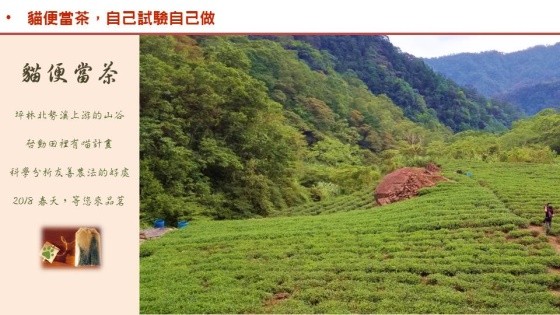 科技農報》田園城市也有循環農業:田裡有喵,貓糞堆肥的創新友善農法