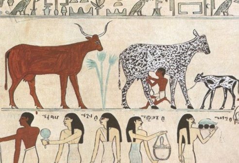 Outside》牛奶：新納粹的象徵