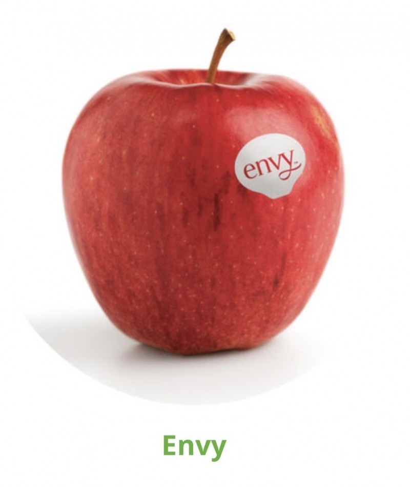 Lin bay 好油》蘋果的滋味（一）：紐西蘭蘋果全球佈局的供應鏈整合 - 自由評論網