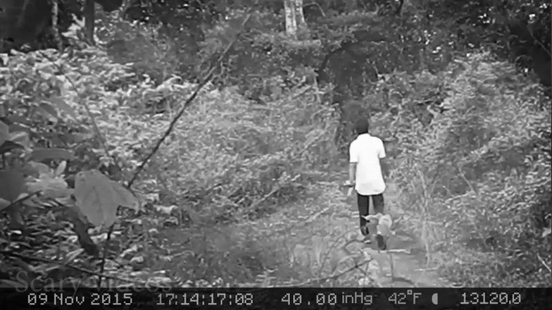 恐懼鳥》山澗奇談（1） 為何人們會在山林突然失蹤？