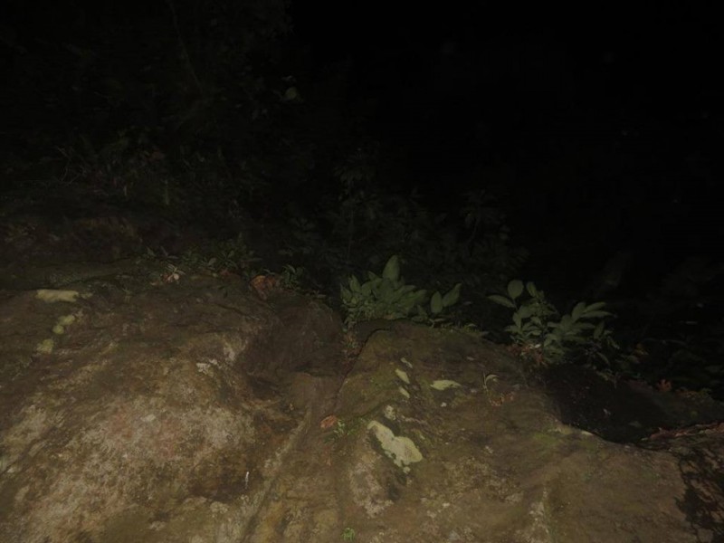 恐懼鳥》山澗奇談（1） 為何人們會在山林突然失蹤？