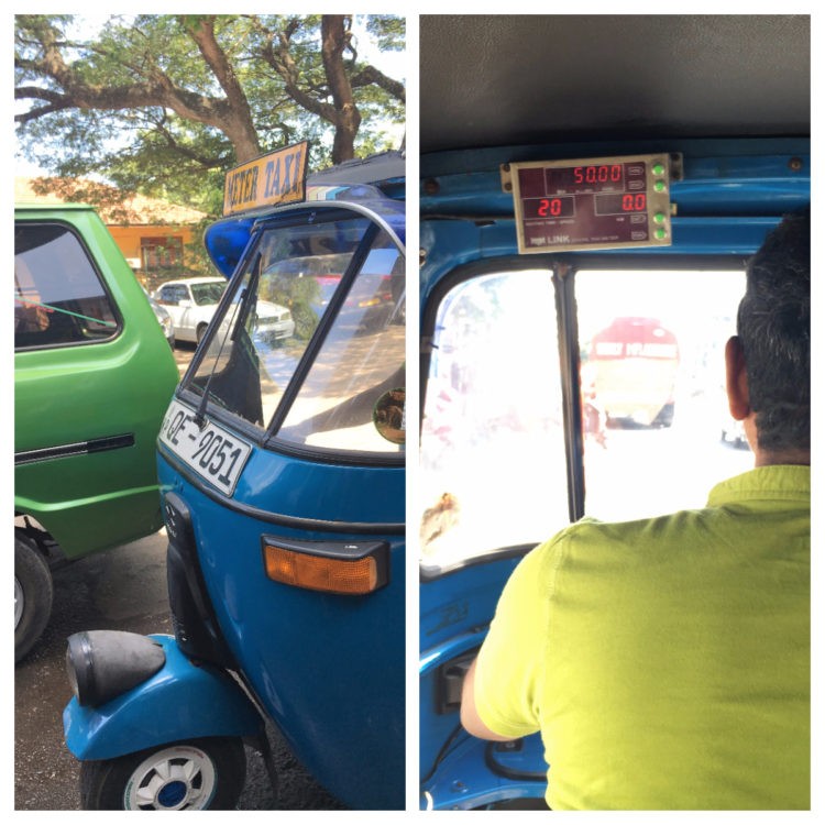 跳表型嘟嘟車。