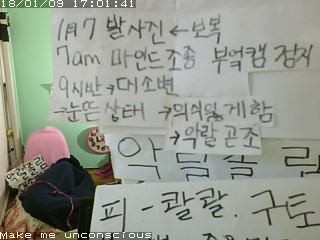 恐懼鳥》你有想過自己正被人監控嗎？—集體跟蹤和韓國晶片女的故事