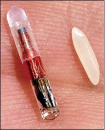 恐懼鳥》你有想過自己正被人監控嗎？—集體跟蹤和韓國晶片女的故事