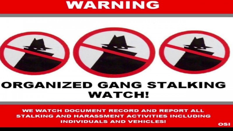 恐懼鳥》你有想過自己正被人監控嗎？—集體跟蹤和韓國晶片女的故事