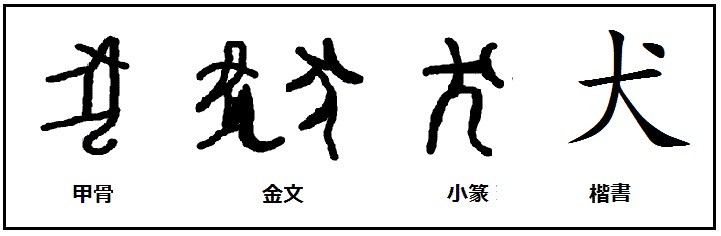 故事》狗年好狗運!「狗」字是怎麼來的?