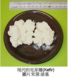 韋恩的食農生活》起士CSI：「找尋世界上第一個吃起士的人！」