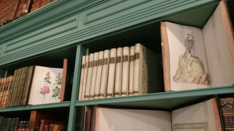 Bernard Shapero的古書店中，書架上典藏許多自然史相關的珍貴古籍。（作者攝於倫敦Shapero Rare Books，2018）