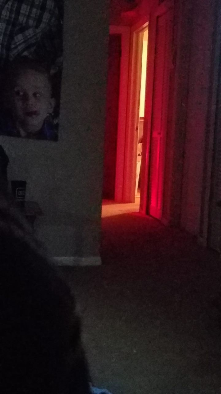 恐懼鳥》讓你困在房裡無處可逃的詭異怪光—加州紅光事件