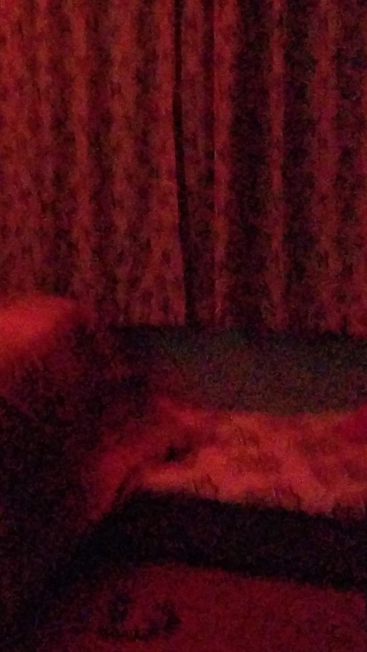 恐懼鳥》讓你困在房裡無處可逃的詭異怪光—加州紅光事件