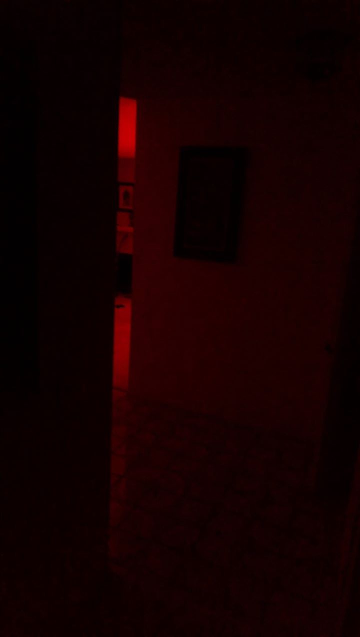 恐懼鳥》讓你困在房裡無處可逃的詭異怪光—加州紅光事件