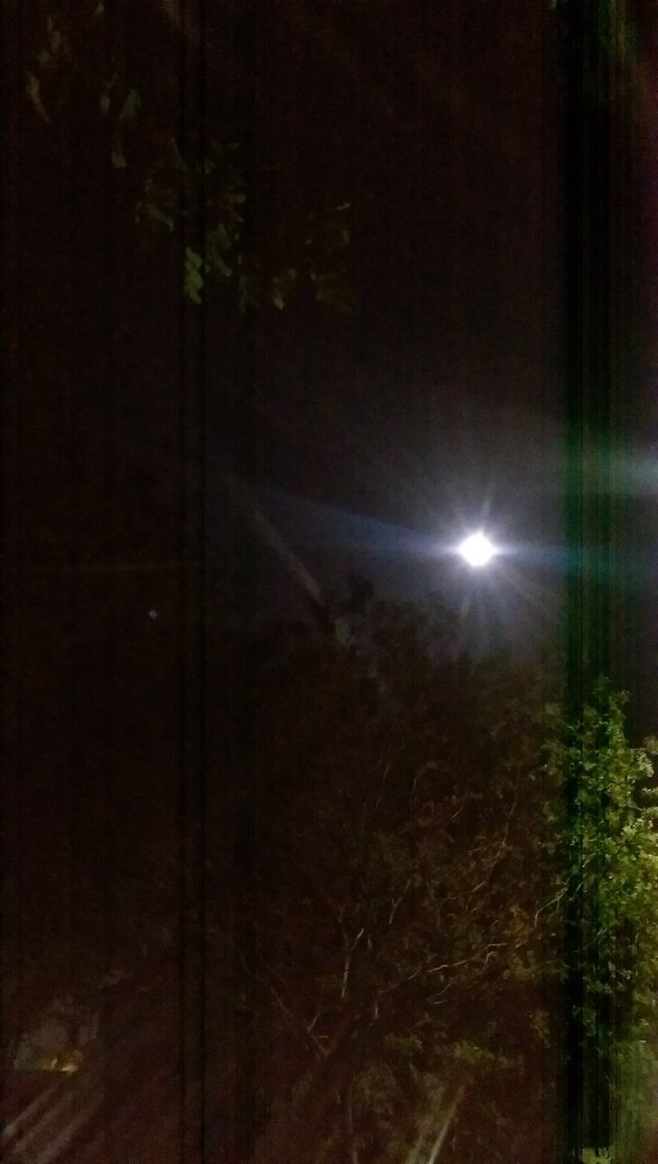 恐懼鳥》讓你困在房裡無處可逃的詭異怪光—加州紅光事件