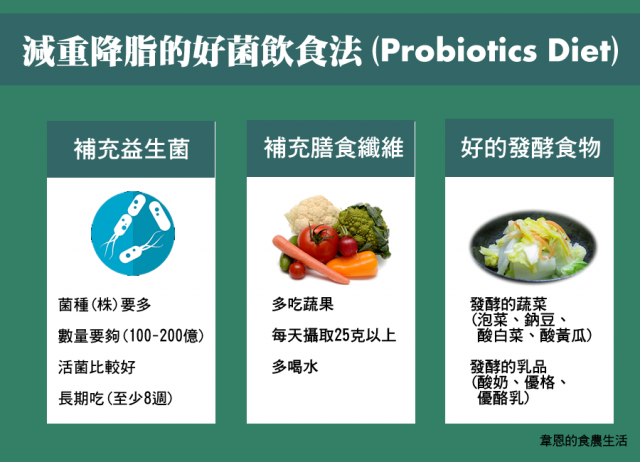韋恩的食農生活》減重降脂的好菌飲食法（Probiotics Diet）（I）
