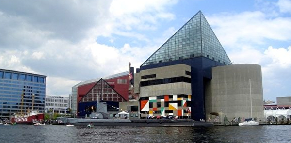 巴爾的摩國家水族館。（圖：epochtimes.com）