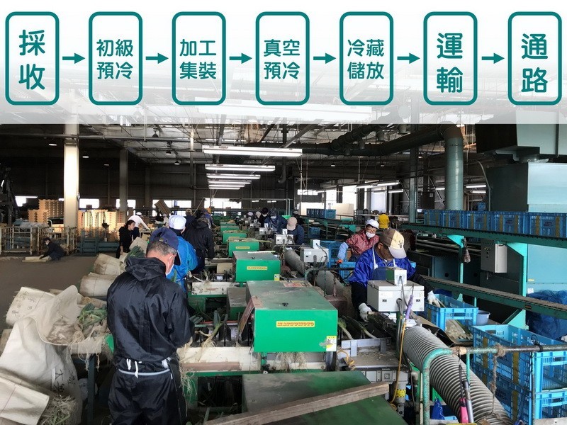 一級嘴砲 農產冷鏈的完成型 Ja遠洲中央 自由評論網