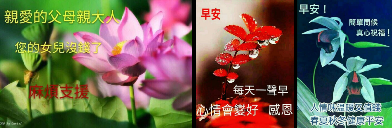 漫遊藝術史》認同請分享:關於早安圖的一些視覺觀察