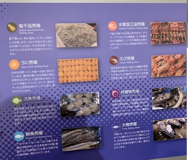 Lin bay 好油》國家高度的批發市場：日本豐洲市場取經（三） - 自由評論網