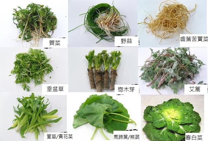 東亞漫遊 韓國的春天野菜盛宴 自由評論網