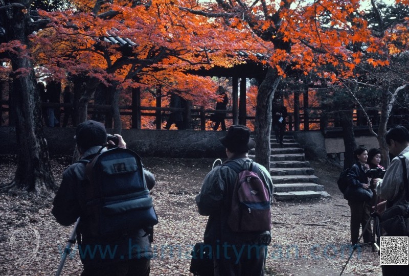 1995年11月27日東福寺。（圖：作者提供）