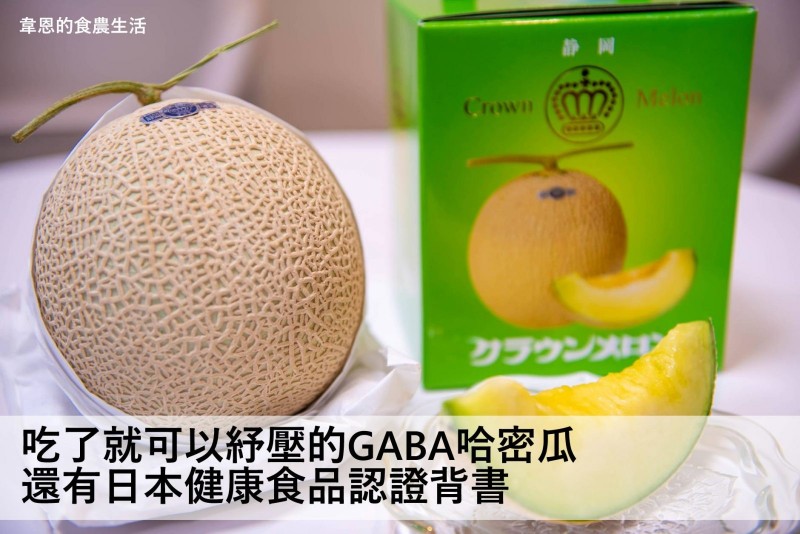 韋恩的食農生活》吃了就可以紓壓的GABA哈密瓜，還有日本健康食品認證背書