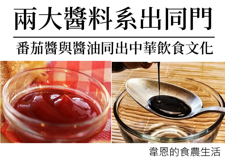 韋恩的食農生活》兩大醬料系出同門：番茄醬與醬油同出中華飲食文化！