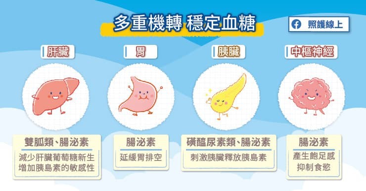 照護線上》血糖多少才OK？糖尿病問題多，醫師圖文解說